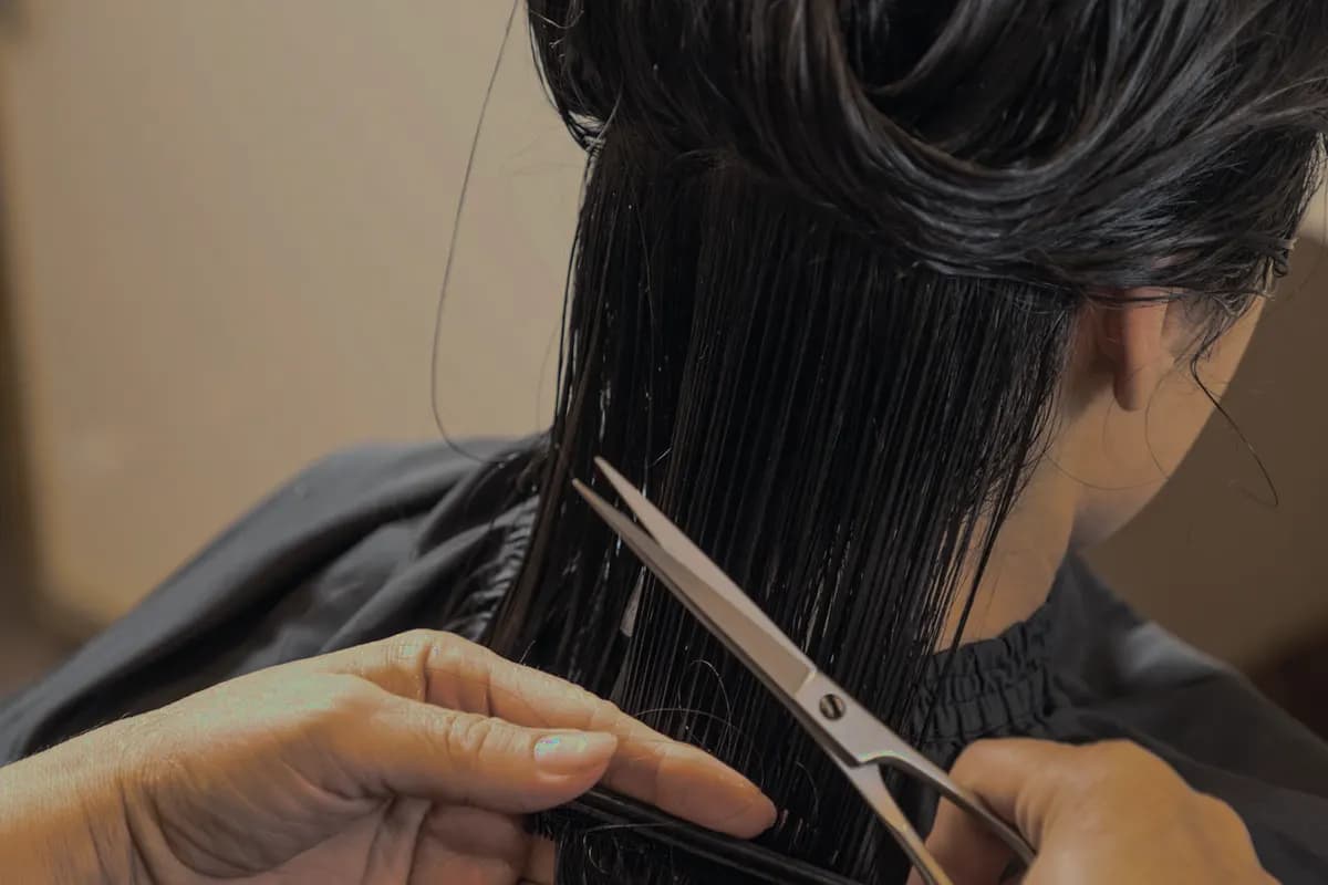 Las manos de una peluquera cortando el pelo húmedo de una clienta.